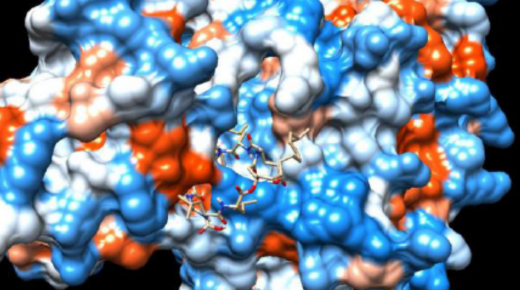 Exploring Antiviral Drugs Without a Heterocyclic Nucleus