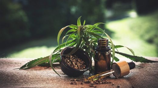 Traveling With CBD – Tips for a Seamless Journey