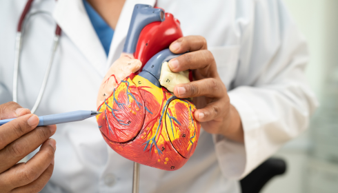Discovering the Best Heart Hospital in Bangalore: A Lifesaving Destination for Cardiac Care