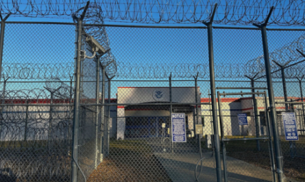 Immigration Habeas Lawyer