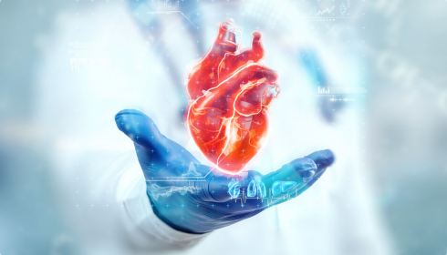 Finding the Right Cardiology Hospital in Bangalore for Quality Heart Care