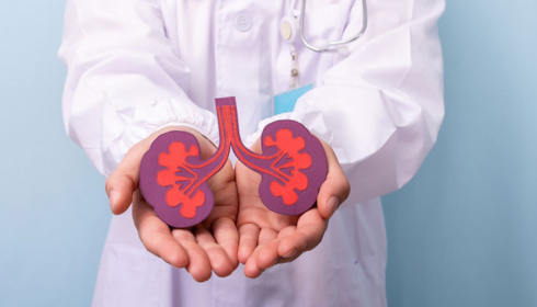 Finding the Right Care: A Guide to the Best Kidney Transplant Hospital in Bangalore