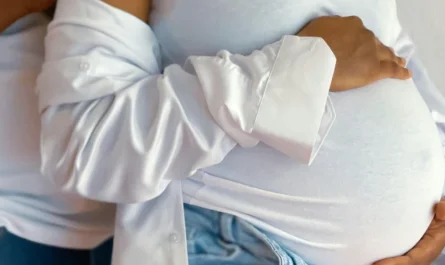 International Surrogacy laws